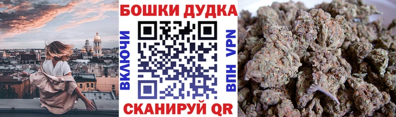 Где купить наркоту Дигора ГАШИШ  Кокаин  Мефедрон  A-PVP  МЕТАДОН  Канабис  АМФ 