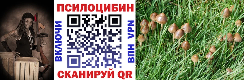 купить наркоту  KRAKEN ТОР  Псилоцибиновые грибы Magic Shrooms  Дигора 